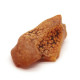 Raw Honey Baltic Amber Stone (5.9 g)