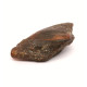 Cognac Color Raw Rough Natural Baltic Amber Stone Piece ~ 11.4g