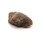 Cognac Color Raw Rough Natural Baltic Amber Stone Piece ~ 11.4g