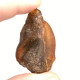 Cognac Color Raw Rough Natural Baltic Amber Stone Piece ~ 11.4g