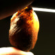 Cognac Color Raw Rough Natural Baltic Amber Stone Piece ~ 11.4g