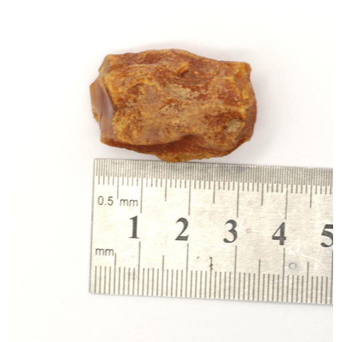 Honey Color Raw Rough Natural Baltic Amber Stone Piece ~ 8,7g