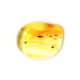 Honey Color Polished Natural Baltic Amber Stone Piece With Insect Inclusion 