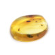 Honey Color Polished Natural Baltic Amber Stone Piece With Insect Inclusion 