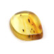 Honey Color Polished Natural Baltic Amber Stone Piece With Insect Inclusion 