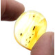 Honey Color Polished Natural Baltic Amber Stone Piece With Insect Inclusion 