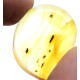 Honey Color Polished Natural Baltic Amber Stone Piece With Insect Inclusion 