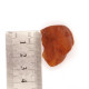 Egg Yolk / Butterscotch Color Raw Rough Natural Baltic Amber piece 6.6g