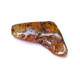 Green Shade Polished Baltic Amber Piece With Plant Inclusions 4.1g 