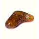 Green Shade Polished Baltic Amber Piece With Plant Inclusions 4.1g 