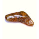Green Shade Polished Baltic Amber Piece With Plant Inclusions 4.1g 
