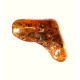 Green Shade Polished Baltic Amber Piece With Plant Inclusions 4.1g 