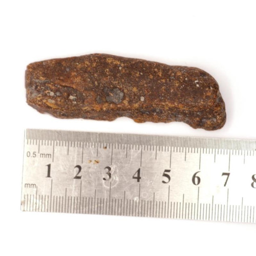 Natural Cognac Baltic Amber Piece (11.5 g)