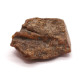 Natural Honey Baltic Amber Piece (16 g)