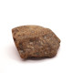 Natural Honey Baltic Amber Piece (16 g)