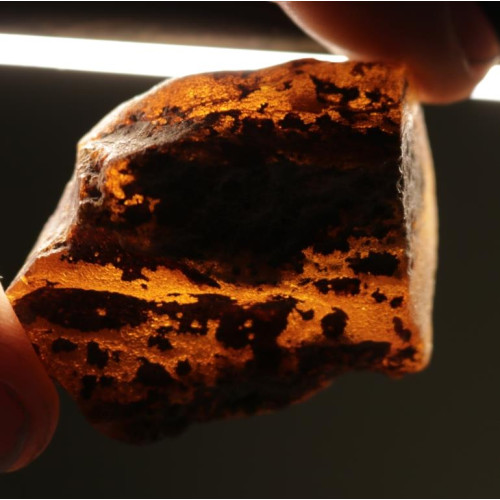 Natural Honey Baltic Amber Piece (16 g)