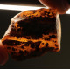 Natural Honey Baltic Amber Piece (16 g)