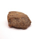 Natural Honey Baltic Amber Piece (16 g)