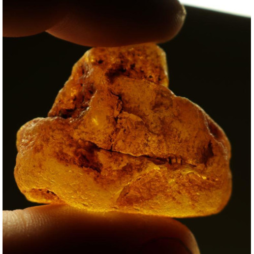 Honey Color Raw Rough Natural Baltic Amber Stone Piece 9g