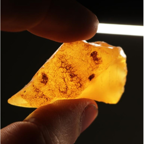 Natural Raw Honey Baltic Amber Piece (7.6 g)