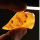 Natural Raw Honey Baltic Amber Piece (7.6 g)