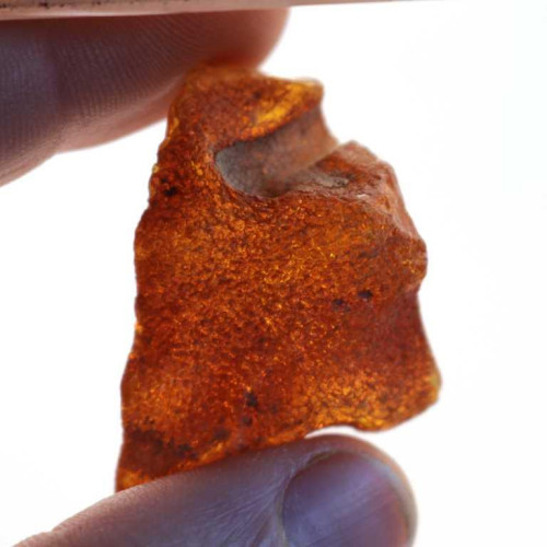 Authentic Cognac Baltic Amber Piece (6 g)