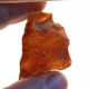 Authentic Cognac Baltic Amber Piece (6 g)