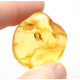 Polished Light Honey Baltic Amber Stone – Flat Loose Amber (3.9 g)