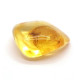 Honey Baltic Amber Piece with Insect Inclusion 3.8g