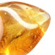 Honey Baltic Amber Piece with Insect Inclusion 3.8g