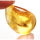 Honey Baltic Amber Piece with Insect Inclusion 3.8g