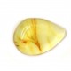 Honey Color Polished Natural Baltic Amber Cabochon  Piece With Insect Inclusion ~ 1.5g