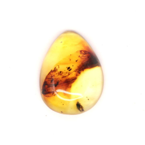 Honey Color Polished Natural Baltic Amber Stone Cabochon With Insect Inclusion ~ 2.8g
