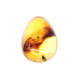 Honey Color Polished Natural Baltic Amber Stone Cabochon With Insect Inclusion ~ 2.8g