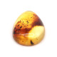 Honey Color Polished Natural Baltic Amber Stone Cabochon With Insect Inclusion ~ 2.8g