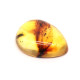 Honey Color Polished Natural Baltic Amber Stone Cabochon With Insect Inclusion ~ 2.8g