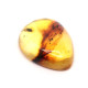 Honey Color Polished Natural Baltic Amber Stone Cabochon With Insect Inclusion ~ 2.8g