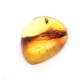 Honey Color Polished Natural Baltic Amber Stone Cabochon With Insect Inclusion ~ 2.8g