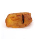 Natural Raw Honey Baltic Amber Piece (6.8 g)