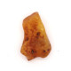 Natural Raw Honey Baltic Amber Piece (6.8 g)