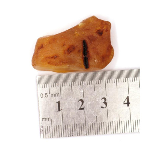 Natural Raw Honey Baltic Amber Piece (6.8 g)