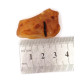 Natural Raw Honey Baltic Amber Piece (6.8 g)