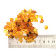 Polished Loos Baltic Amber Pieces Multiple Colors -8 - 16 mm