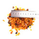 Polished Nugget Baltic Amber Pieces Multiple Colors 8 - 16 mm hole 1mm