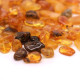 Polished Nugget Baltic Amber Pieces Multiple Colors 8 - 16 mm hole 1mm