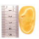 Polished Freeform Butterscotch / Egg Yolk Baltic Amber Piece (5.2 g)