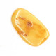 Polished Freeform Butterscotch / Egg Yolk Baltic Amber Piece (5.2 g)