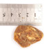 Raw Royal Baltic Amber Piece (8.4 g)