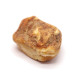 Raw Royal Baltic Amber Piece (8.4 g)