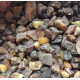 Raw Baltic Amber 2-5 g (0.1 - 1kg)